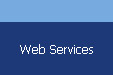 Easy Ware Solutions Web Services